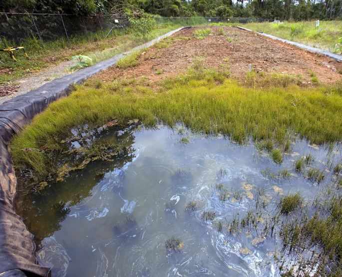 bioremediation